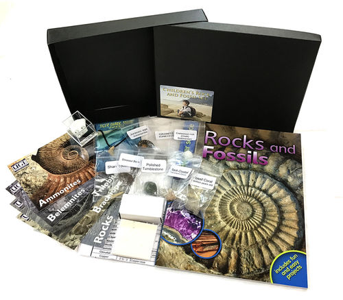 Childrens Rock and Fossil Set