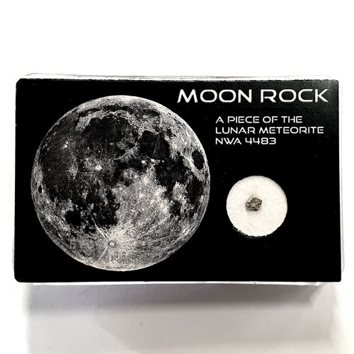 Lunar Meteorite (Moon Rock)
