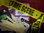 Forensic Science (12yrs +) - Friday 27th of October - 10:30 - FULLY BOOKED