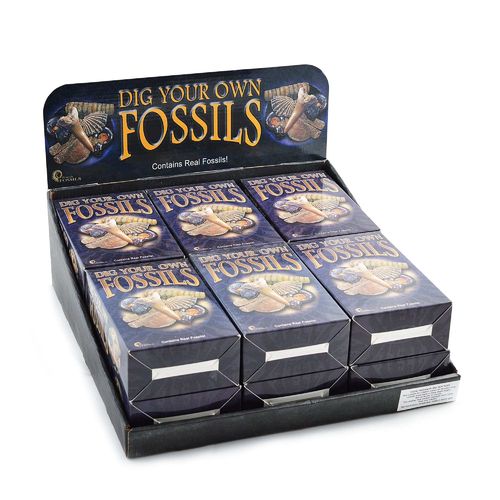Dig Your Own Fossil Pack