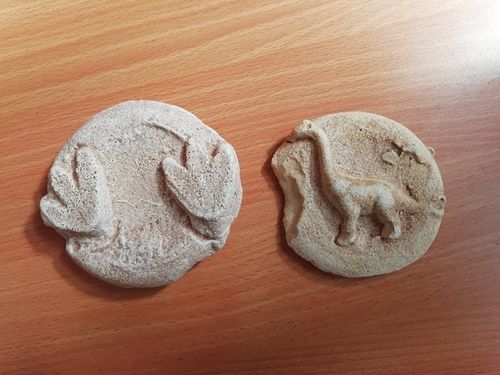 Dinosaurs & Fossils workshop - 29th July, 1st, 16th & 25th August